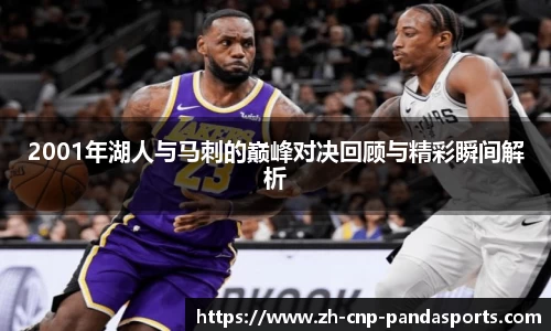 熊猫体育官方网站